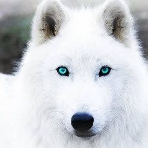 Meet your Posher, Oceannah